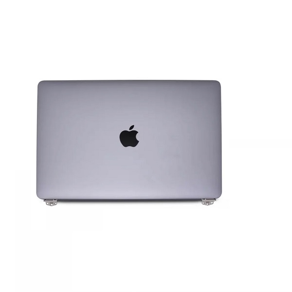 MacBook A1398 2015 Screen